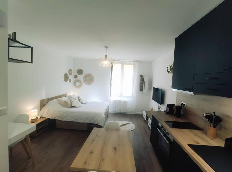 Annecy Vieille Ville, Superbe Appartement Au Calme Zewnętrze zdjęcie